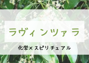 ラヴィンツァラ精油に期待される効果とスピリチュアルとは！？